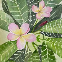 My project for course: Negative Watercolor Painting for Botanical Illustration Ein Projekt aus dem Bereich Traditionelle Illustration, Aquarellmalerei und Botanische Illustration von jmpitt2 - 24.03.2022