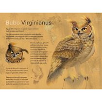 Il mio progetto del corso: Great Horned Owl. Un proyecto de Ilustración tradicional, Ilustración digital, Dibujo realista e Ilustración naturalista				 de deviantanto - 24.03.2022