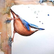 My project for course: Artistic Watercolor Techniques for Illustrating Birds. Traditional illustration, Watercolor Painting, Realistic Drawing, and Naturalistic Illustration project by marieke_3 - 03.25.2022