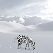 Mon projet du cours : Photomontage et illustrations fantastiques sur Photoshop. Photograph, Collage, Photo Retouching, Digital Illustration, Photographic Composition, and Photomontage project by Roxane Randel - 03.25.2022