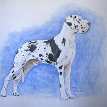 Mein Kursprojekt: Aquarelltechnik für traumhafte Illustrationen . Traditional illustration, Drawing, Watercolor Painting, and Editorial Illustration project by Trix Hofer-Renggli - 03.26.2022