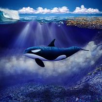 Sea waste Matte Painting.. Photograph, Photograph, Post-production, Photo Retouching, Digital Photograph, Photomontage, and Matte Painting project by David Ruiz - 03.26.2022