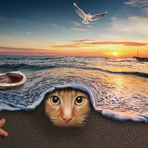 Mon projet du cours : Photomontage et illustrations fantastiques sur Photoshop. Photograph, Collage, Photo Retouching, Digital Illustration, Photographic Composition, and Photomontage project by Jessee NC - 03.27.2022