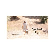 Meu projeto do curso: Produção e edição de vídeo com câmera DSLR e Adobe Premiere. Un projet de Cinéma, Vidéo, Télévision, Production audiovisuelle, Édition vidéo , et Réalisation de veramonicagomes - 26.10.2022