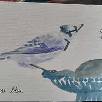 Mon projet du cours : Illustration naturaliste d'oiseaux à l'aquarelle. Ilustração tradicional, Pintura em aquarela, Desenho realista e Ilustração naturalista projeto de Emilie Adelin - 28.03.2022