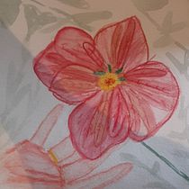 Mon projet du cours : Illustration botanique à l’aquarelle. Ilustração tradicional, Artes plásticas, Pintura, Desenho, Pintura em aquarela e Ilustração botânica projeto de Emilie Adelin - 28.03.2022