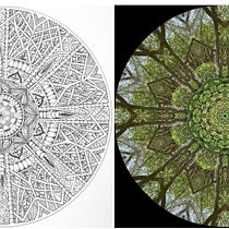 My project for course: The Art of Mandala Drawing: Create Geometric Patterns. Drawing & Ink Illustration project by Lesley Davies - 03.29.2022