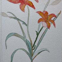 Meu projeto do curso: Ilustração botânica com aquarela. Ilustração tradicional, Artes plásticas, Pintura, Desenho, Pintura em aquarela e Ilustração botânica projeto de danailaemilie - 29.03.2022