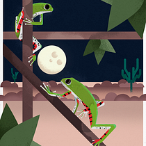 Meu projeto do curso: Ilustração da vida selvagem para livros infantis. Un progetto di Illustrazione vettoriale, Illustrazione digitale e Illustrazione infantile di Felipe Mendes - 20.02.2022