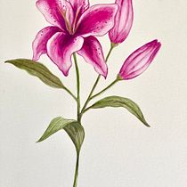 Meu projeto do curso: Aquarela botânica: ilustre a anatomia das flores. Un progetto di Illustrazione tradizionale, Belle arti, Pittura, Disegno, Pittura ad acquerello e Illustrazione botanica di Bruna Laís Camilo - 30.03.2022