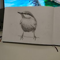 Mi Proyecto del curso: Acuarela artística para ilustración de aves. Traditional illustration, Watercolor Painting, Realistic Drawing, and Naturalistic Illustration project by laura.perez.arnaez - 03.30.2022
