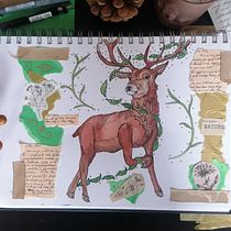 My project for course: Animal Illustration: Capturing Wildlife in a Sketchbook. Traditional illustration, Collage, Sketchbook, and Naturalistic Illustration project by Tash - 03.30.2022