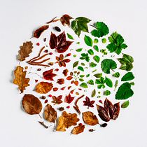 My project for course: Creative Flat Lay Compositions for Social Media. Mobile Photograph, Product Photograph, Digital Photograph, Food Photograph & Instagram Photograph project by info - 03.31.2022