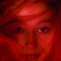 Le voile en studio. Photograph, Portrait Photograph, Studio Photograph, and Digital Photograph project by christine casella - 03.31.2022