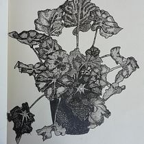 Mon projet du cours : Carnet de croquis : illustrez vos expériences personnelles. Ilustração tradicional, Esboçado, Desenho, Sketchbook e Ilustração com tinta projeto de Axelle Payet - 31.03.2022