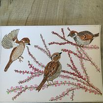 My project for course: Illustrating Nature: A Creative Exploration. Traditional illustration, Painting, Drawing, Watercolor Painting, Ink Illustration, and Naturalistic Illustration project by yvonnejvirgo - 03.31.2022