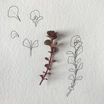 My project for course: Botanical Sketchbooking: A Meditative Approach. Ilustração tradicional, Esboçado, Desenho, Pintura em aquarela, Ilustração botânica, e Sketchbook projeto de Olga Ionova - 30.03.2022