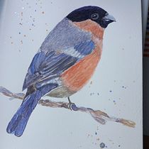 My project for course: Artistic Watercolor Techniques for Illustrating Birds. Traditional illustration, Watercolor Painting, Realistic Drawing, and Naturalistic Illustration project by Lisa Thomas - 04.01.2022