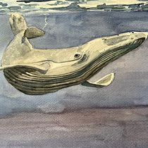 My project for course: Naturalist Illustration Techniques: Whales in Watercolor. Un progetto di Illustrazione tradizionale, Design di poster , Illustrazione digitale e Manga di nznbx97e94 - 02.04.2022