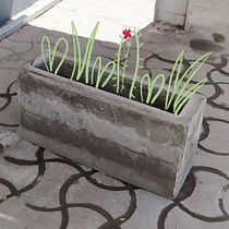 Macetas rectangulares de concreto para patio. Een project van Craft, Meubelontwerp en -bouw, Interieurontwerp,  Interieur, DIY,  Ontwerp, Architectuur, Industrieel ontwerp, L, scaping y Productontwerp van Wampi Moradito - 12.03.2022