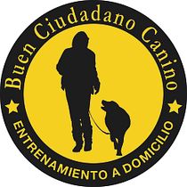 Posicionamiento personal de mi sitio web www.buenciudadanocanino.cl en Google. Un projet de Marketing, Réseaux sociaux, Marketing digital, Marketing mobile, Marketing de contenu, Growth marketing, SEO , et SEM de Karen Lorca Abba - 17.04.2022