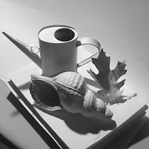 My project for course: Artistic Drawing for Beginners. Pencil Drawing, Drawing, Realistic Drawing, and Artistic Drawing project by Nick - 04.06.2022