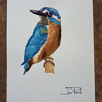 Mi Proyecto del curso: Técnicas experimentales de acuarela para principiantes. Un progetto di Illustrazione tradizionale, Belle arti, Pittura ad acquerello e Illustrazione naturalistica di Jaiver Pardo - 04.04.2022