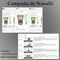 Naualli. Marketing digital, Marketing, Redes sociais, Mobile Marketing, Instagram, Marketing para Facebook, Marketing para Instagram, Growth Marketing, e SEM projeto de Ricardo Madrigal - 13.04.2022