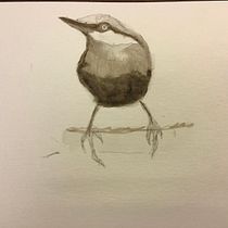 My project for course: Artistic Watercolor Techniques for Illustrating Birds. Traditional illustration, Watercolor Painting, Realistic Drawing, and Naturalistic Illustration project by Murielle A Hoodfar-Kamayah - 04.06.2022