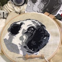 My project for course: Punch Needle Embroidery: From Pictures to Portraits. Bordado, Punch needle, e Design têxtil projeto de Felicity - 07.04.2022