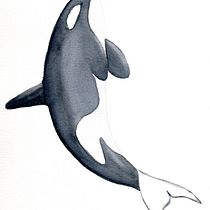 Meu projeto do curso: Técnicas de ilustração naturalista: baleias em aquarela. Un progetto di Illustrazione tradizionale, Design di poster , Illustrazione digitale e Manga di Andrea Nascimento - 08.04.2022