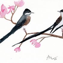 Meu projeto do curso: Técnicas expressivas de aquarela para ilustração de pássaros. Traditional illustration, Watercolor Painting, Realistic Drawing, and Naturalistic Illustration project by Andrea Nascimento - 04.08.2022