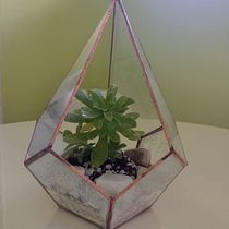 Mi Proyecto del curso: Creación de terrarios con la técnica Tiffany . Desain Aksesori, Desain Interior, Dekorasi, DIY, Desain Bunga, Dan Tanaman proyek oleh Laura Carolina Ortiz - 04.08.2022