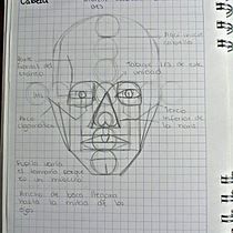 Mi Proyecto del curso: Dibujo anatómico para principiantes. Fine Arts, Sketching, Pencil Drawing, Drawing, Realistic Drawing, and Figure Drawing project by taizmosquera16 - 04.08.2022