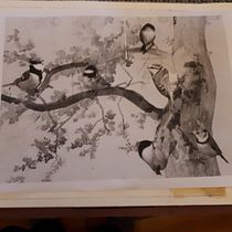 Il mio progetto del corso: l'albero delle cince. Traditional illustration, Watercolor Painting, Realistic Drawing, and Naturalistic Illustration project by Ada Gadda - 04.09.2022