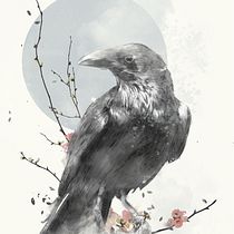 Il mio progetto del corso: Ritratto illustrato con Procreate. Ilustração tradicional, Ilustração vetorial, Ilustração digital, Desenho de retrato, Artes plásticas, Pintura, Criatividade, Desenho a lápis, Desenho, Design de cartaz, Esboçado, Desenho artístico, Pintura digital, e Desenho digital projeto de Marcello Montinari - 11.04.2022
