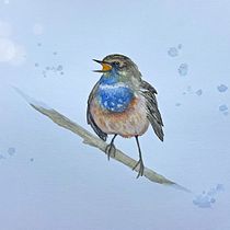 My project for course: Artistic Watercolor Techniques for Illustrating Birds. Traditional illustration, Watercolor Painting, Realistic Drawing, and Naturalistic Illustration project by Veronika Denezhnaia - 04.12.2022