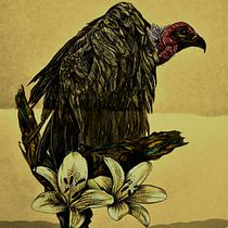 Buitre y más. Traditional illustration, Drawing, Realistic Drawing, and Naturalistic Illustration project by JOVI CÁRDENAS BENAVIDES - 04.12.2022