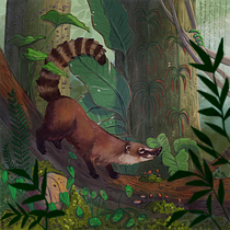 My project for course: Digital Illustration: Create a Colorful Nature Scene. Un projet de Illustration traditionnelle, Illustration numérique et Illustration naturaliste de malgoszyszko - 13.04.2022