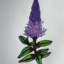Mi Proyecto del curso: Diseño de estampados para superficies textiles con Photoshop. Un projet de Illustration traditionnelle, Création de costumes, Création de motifs, St, lisme et Illustration numérique de nayibeet - 15.04.2022
