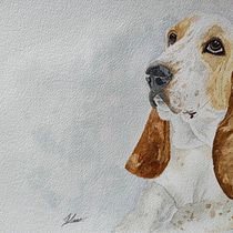 My project for course: Expressive Animal Portraits in Watercolor Ein Projekt aus dem Bereich Traditionelle Illustration, Aquarellmalerei, Realistische Zeichnung und Naturalistische Illustration von clau2993_ - 09.04.2022