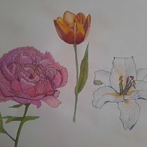 Mein Kursprojekt: Botanisches Zeichenheft: ein meditativer Ansatz. Pintura em aquarela e Ilustração botânica projeto de heidrunknoch - 15.04.2022