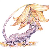 My project for course: Surrealist Illustration Inspired by Nature. Traditional illustration, Pencil Drawing, Drawing, Artistic Drawing, Naturalistic Illustration, and Colored Pencil Drawing project by Nelly Marre - 04.16.2022