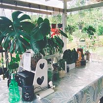 An Outdoor Indoor: Home Styling and Decoration with Plants. Design interativo, Decoração de interiores, Interiores, DIY, Design floral e vegetal, e Design de espaços projeto de Nancy Peter - 09.04.2022