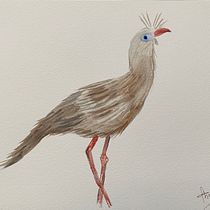My project for course: Naturalist Watercolor with Expression and Personality. Watercolor Painting, Naturalistic Illustration, and Traditional illustration project by thaismarra - 04.16.2022