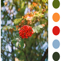 My project for course:  Color Theory Applied to Online Projects Ein Projekt aus dem Bereich Design, UX / UI, Grafikdesign, Webdesign, Mobile Design, Digitales Design und Farbenlehre von Stefan Oros - 14.04.2022