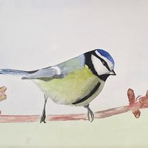 Mon projet du cours : Techniques artistiques d'aquarelle pour illustrer les oiseaux. Traditional illustration, Watercolor Painting, Realistic Drawing, and Naturalistic Illustration project by josianepasquier - 04.17.2022