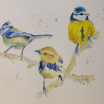 My project for course: Artistic Watercolor Techniques for Illustrating Birds. Traditional illustration, Watercolor Painting, Realistic Drawing, and Naturalistic Illustration project by Karen Korby - 06.08.2022