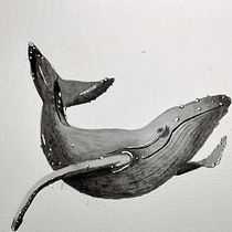 Mi Proyecto del curso: Técnicas de ilustración naturalista: ballenas en acuarela. Un progetto di Illustrazione tradizionale e Pittura ad acquerello di paulina_13 - 19.04.2022