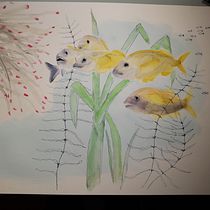 Mein Kursprojekt: Aquarellillustration von Meereswelten . Un projet de Illustration traditionnelle, Peinture, Aquarelle et Illustration naturaliste de Katrin Krammer - 19.04.2022